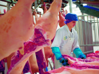 Vion en VanDrie investeren in toekomst in Apeldoorn