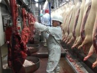 'Totaalaanpak is noodzaak bij mycoplasma'