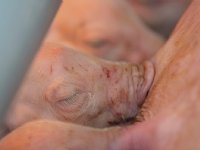 Preventieve maatregelen tegen zoönosen al goed verankerd