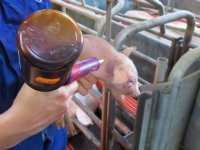 'Die paar dubbeltjes per big extra is een renderende investering'