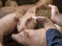 Beter presteren met sorteren, wegen en juiste bouwstenen