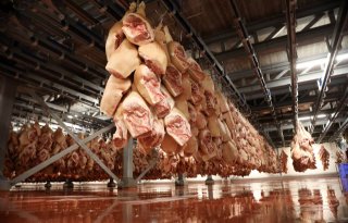 Amerikaanse+export+varkensvlees+stijgt+met+4+procent+in+2024