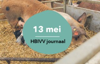 Varkenslandjournaal+ziet+levenslicht