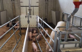 Uitbeijerse Scherpenzeel 1