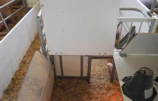 Uitbeijerse Scherpenzeel 4