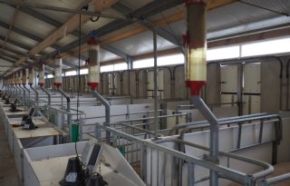 Uitbeijerse biologische kraamzeugenstal