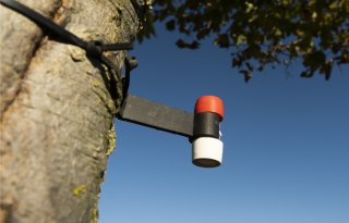 Nederland heeft Europese ammoniakdoelen al gehaald