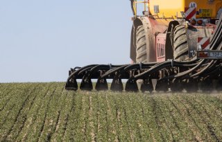 Overschrijding+fosfaatplafond+dreigt%2C+ook+voor+varkenssector