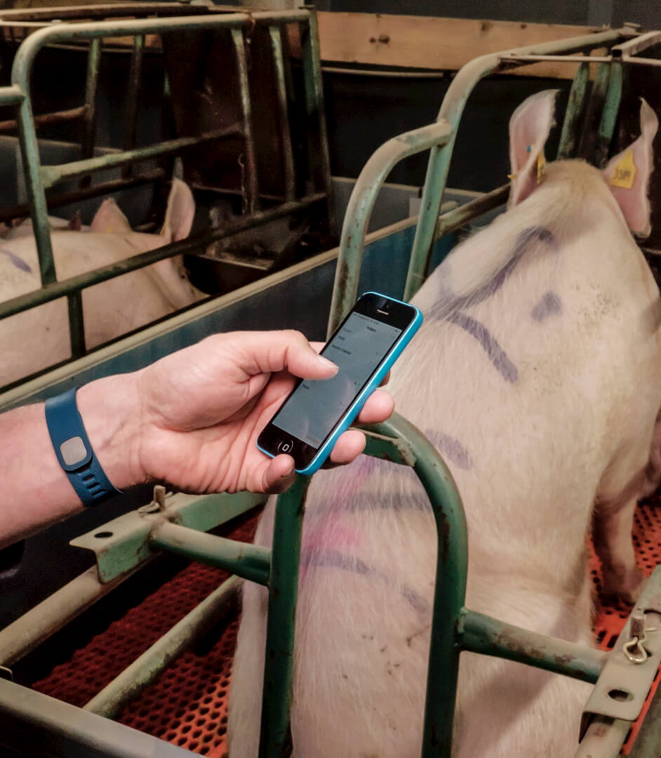 Het is mogelijk om de voerhoeveelheid rechtstreeks aan te passen op een smartphone. Paul kan ook een lijst maken en de wijzigingen in één handeling achter de voercomputer uitvoeren.