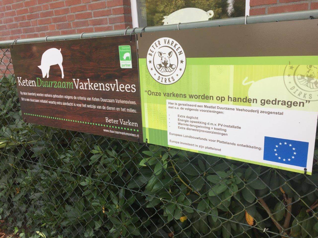 Bij 'Beter varken' van familie Dirks worden varkens op handen gedragen. Ze produceren binnen het concept van keten duurzaam varkensvlees. Ook is investeerden ze in 2014 volop in duurzaamheid.