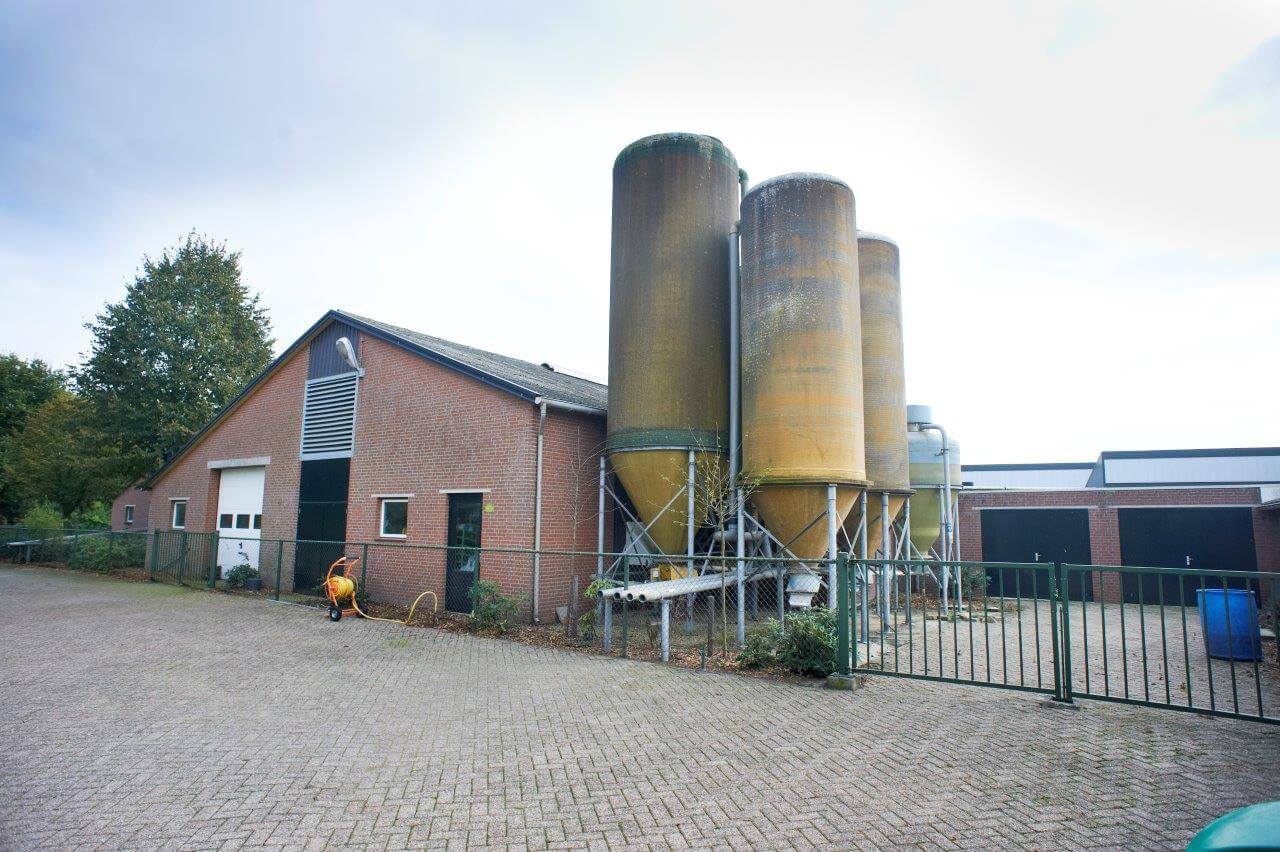 Het erf bij Dirks laat het niet toe dat mensen tussen de stallen gaan lopen of dat er voertuigen terecht komen. Het ziet er strak georganiseerd uit.