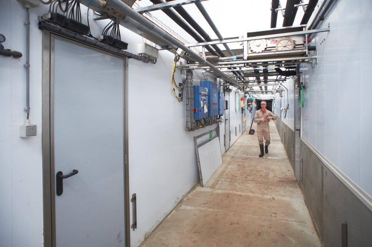 Twan Dirks is een gepassioneerd varkenshouder die geniet van het werken met gezonde dieren, maar ook omdat er veel daglicht is in zijn stallen.