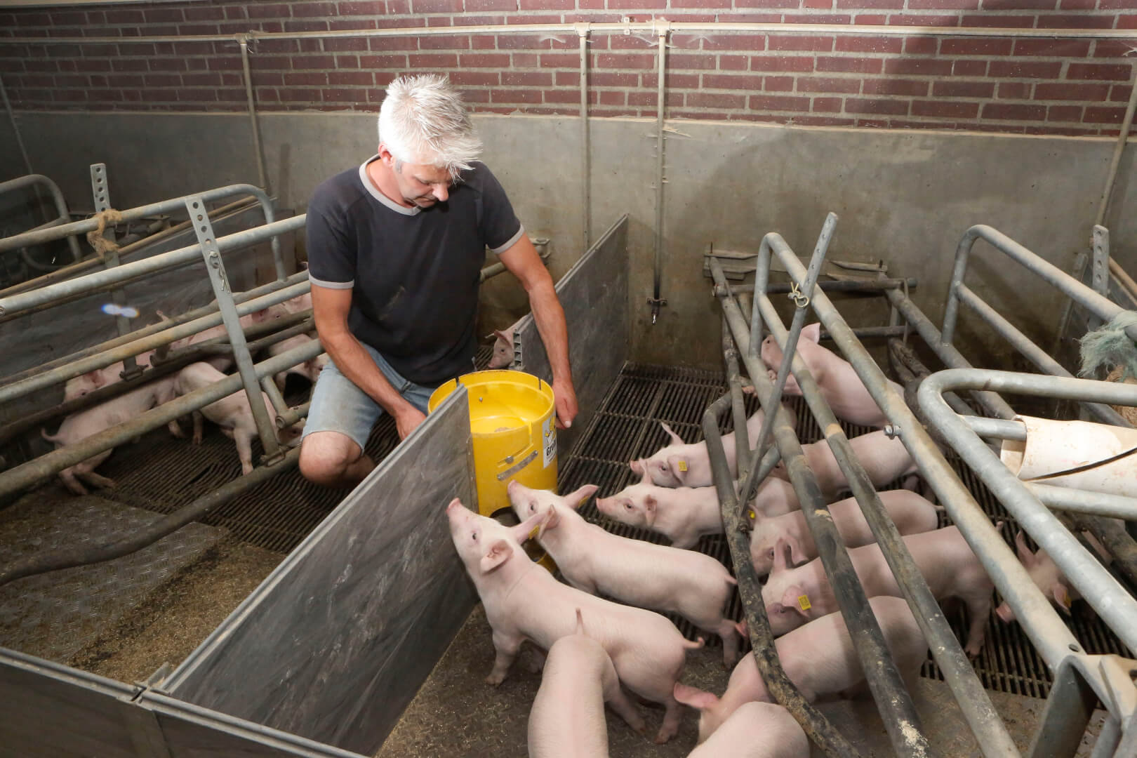 Het nauwkeurig afstellen van de voergift bij de Start-up feeder is volgens Hilkens een fluitje van een cent. Vlot en netjes werken is een groot pluspunt.