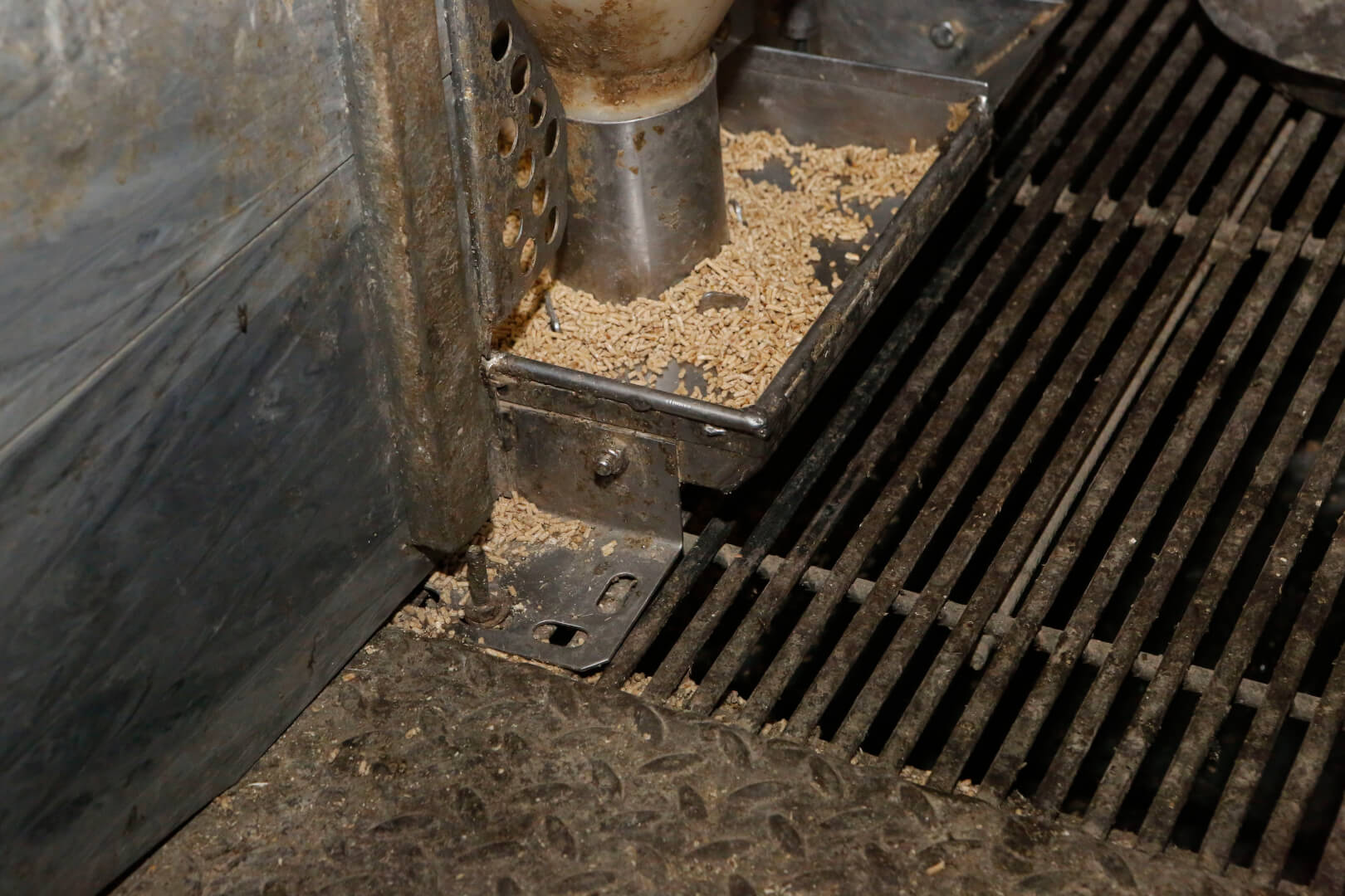 Aan het vermorsen van voer heeft Hilkens een hekel. Bij deze feeder is dat een duidelijk nadeel.