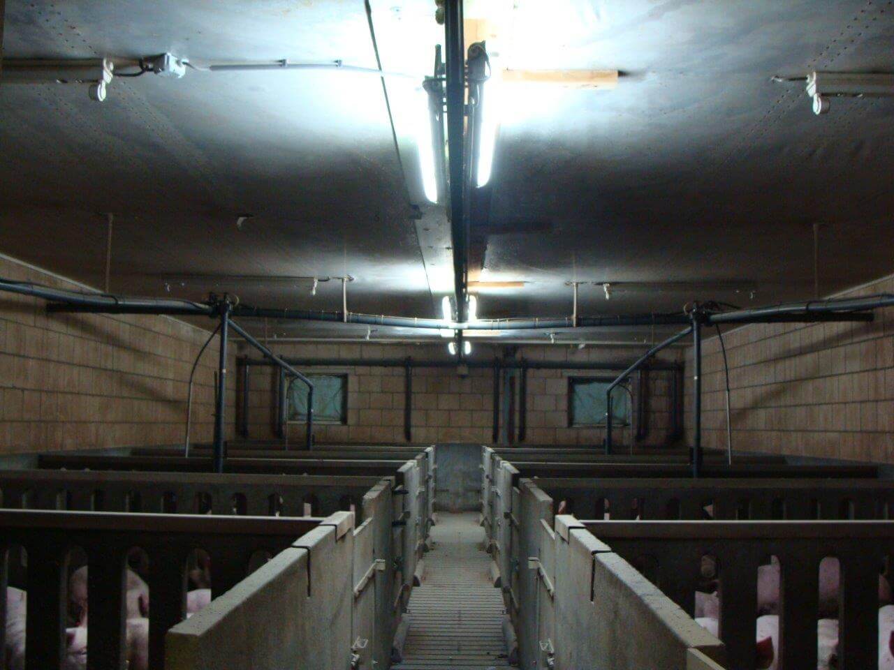 In de afdeling met gewone TL-verlichting is het licht wat geler en er is meer schaduw. 