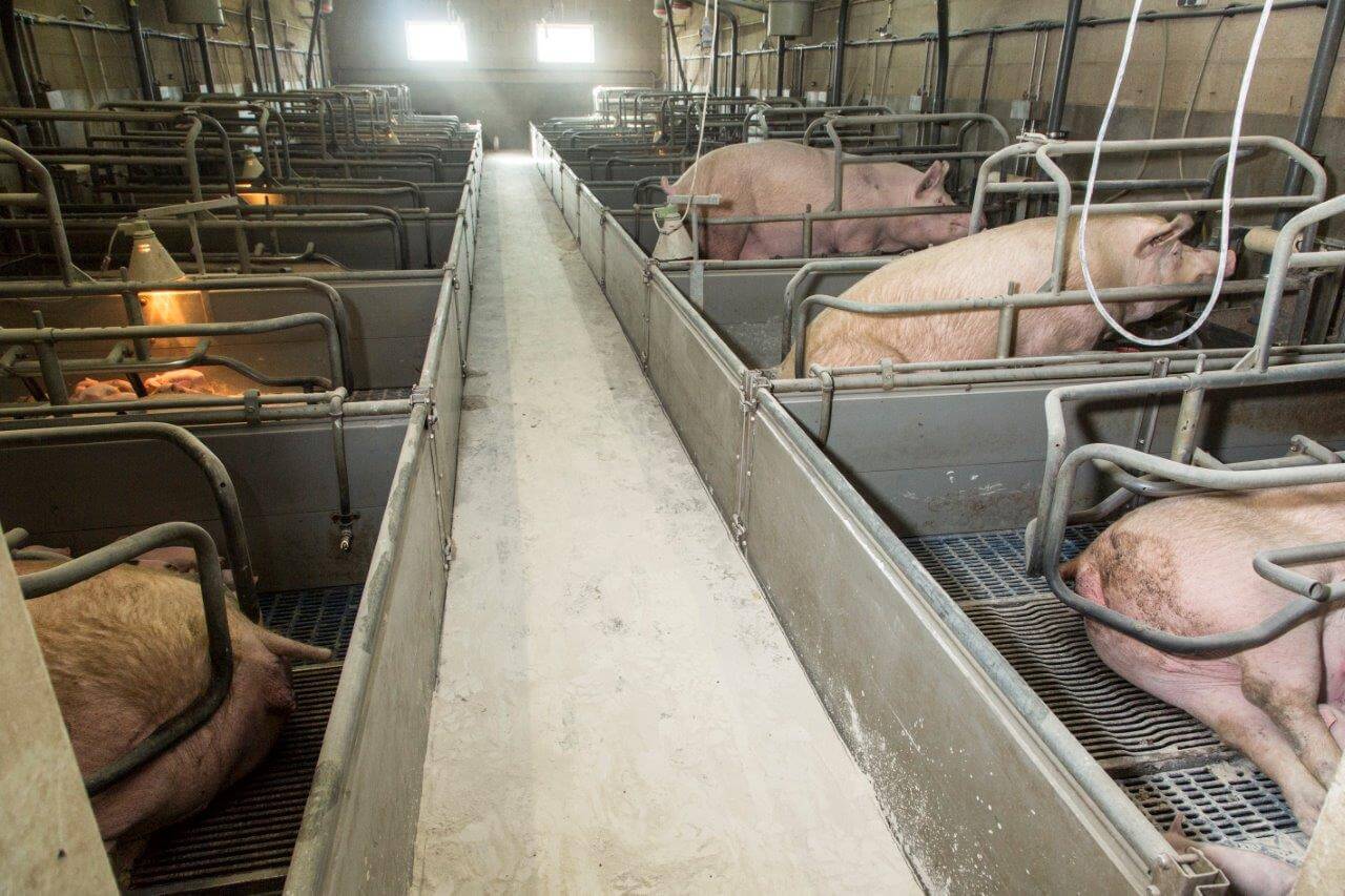 Elke controlegang in kraamafdelingen wordt na het schoonmaken en ontsmetten en drogen voorzien van poeder. Een droge schone omgeving verlaagt de infectiedruk.rken