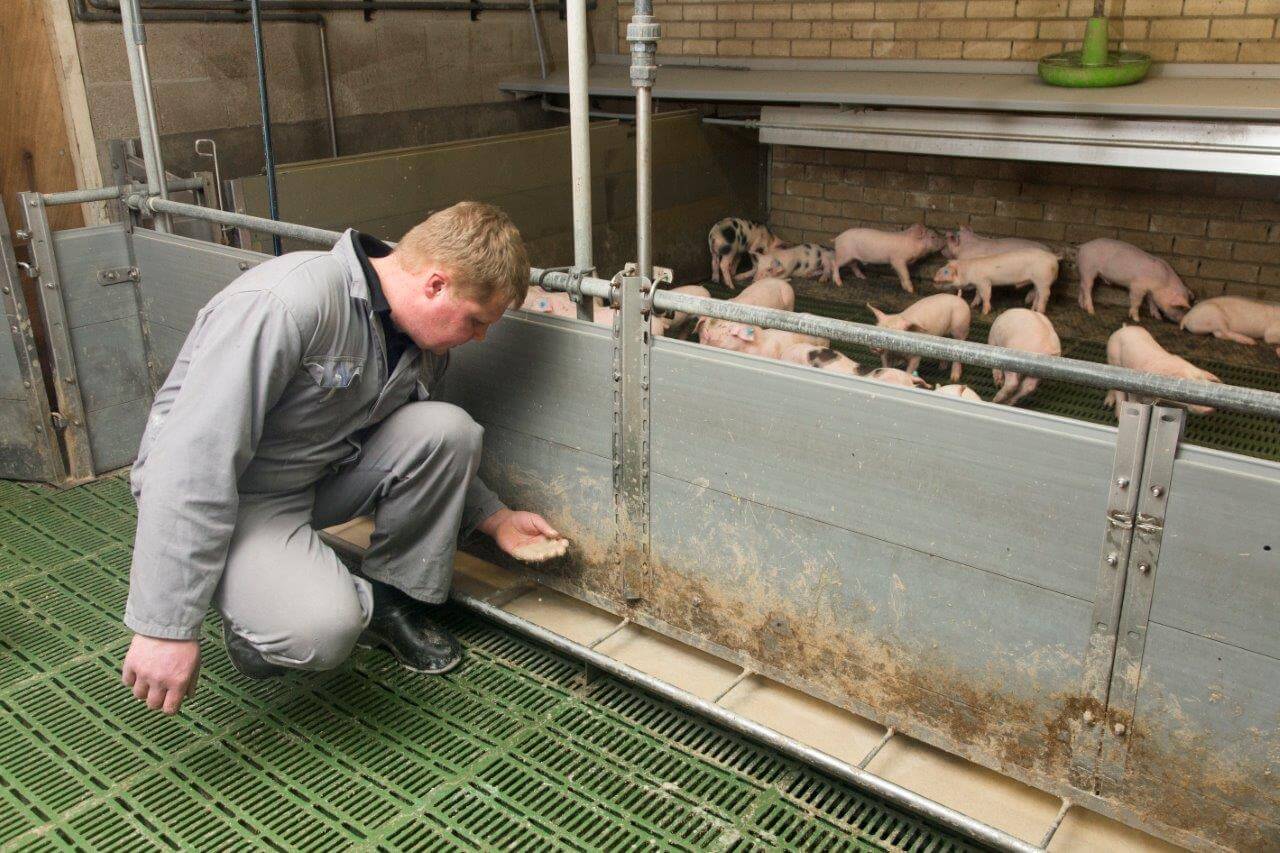 Arjan controleert de brij met 24 procent droge stof op consistentie en af en toe op smaak.