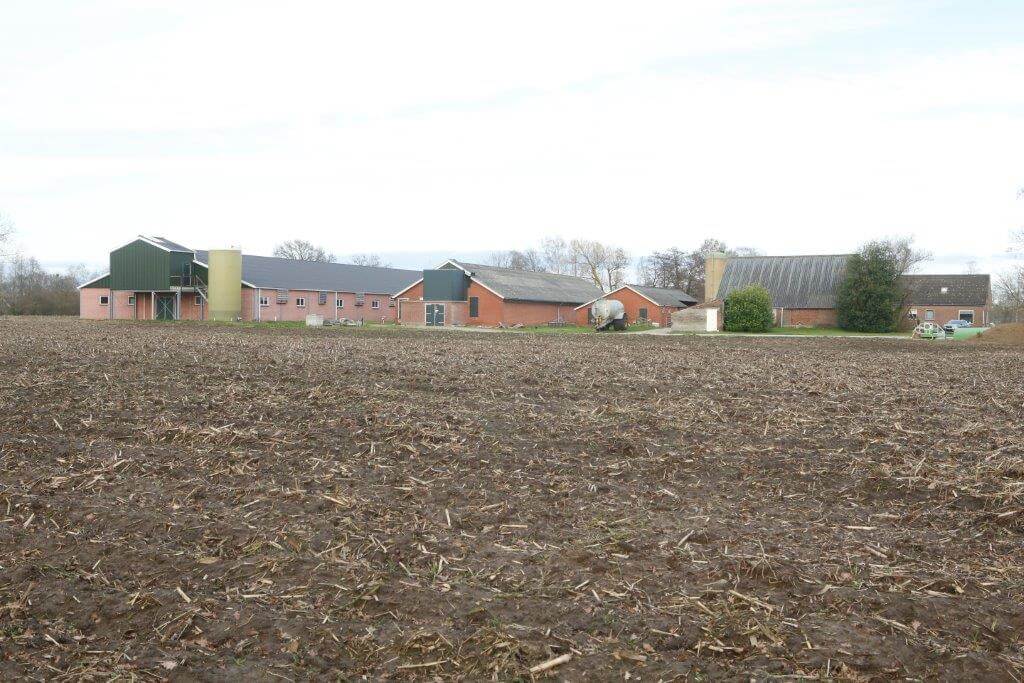 Het zeugenbedrijf heeft aparte stallen voor alle diergroepen.