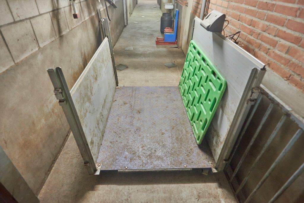 Voor afleveren gaan de varkens over de weegbrug.