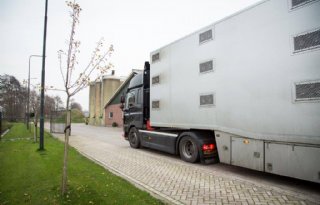 Spaanse+roep+om+import+biggen+te+verminderen