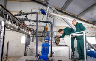 Finsterwolde varkensbedrijf Driessen-brijvoerkeuken Alfons en Bartelt