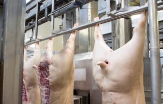 JBS+wil+naar+Amerikaanse+beurs+om+nieuwe+investeerders+aan+te+trekken