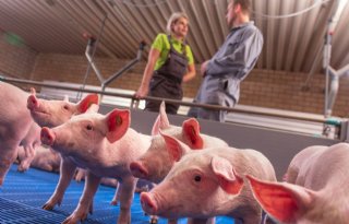 Bas+Philipse%3A+%27Genetica+verandert+razendsnel%2C+ons+voer+gaat+daarin+mee%27