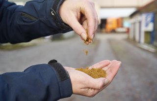 Voeropname en vertering gaan beter met diermeel
