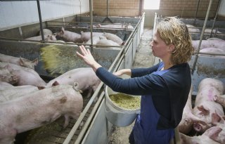 'We blijven groeien in ons vakmanschap met deze teamaanpak'