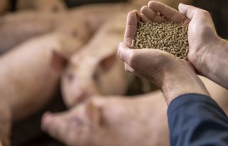 Beter presteren met sorteren, wegen en juiste bouwstenen