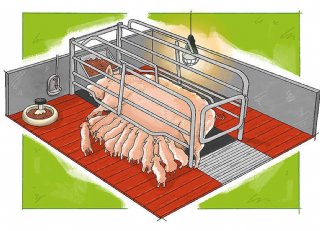 Zeven praktische tips voor werken met vrijloopkraamhokken