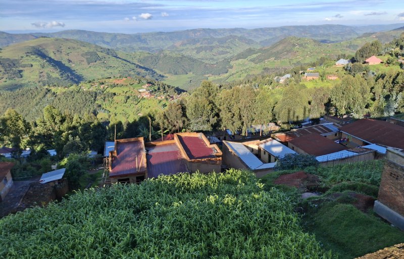 Een varkensbedrijf in de groene heuvels van Rwanda.