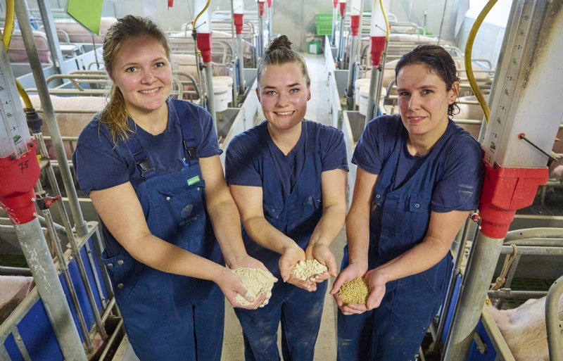Van links naar rechts: Saskia van Zon, Nena Kelderman en Suzanne Baijens laten de drie voeders zien die de biggen in het kraamhok vanaf de tweede dag na geboorte tot aan het spenen krijgen.